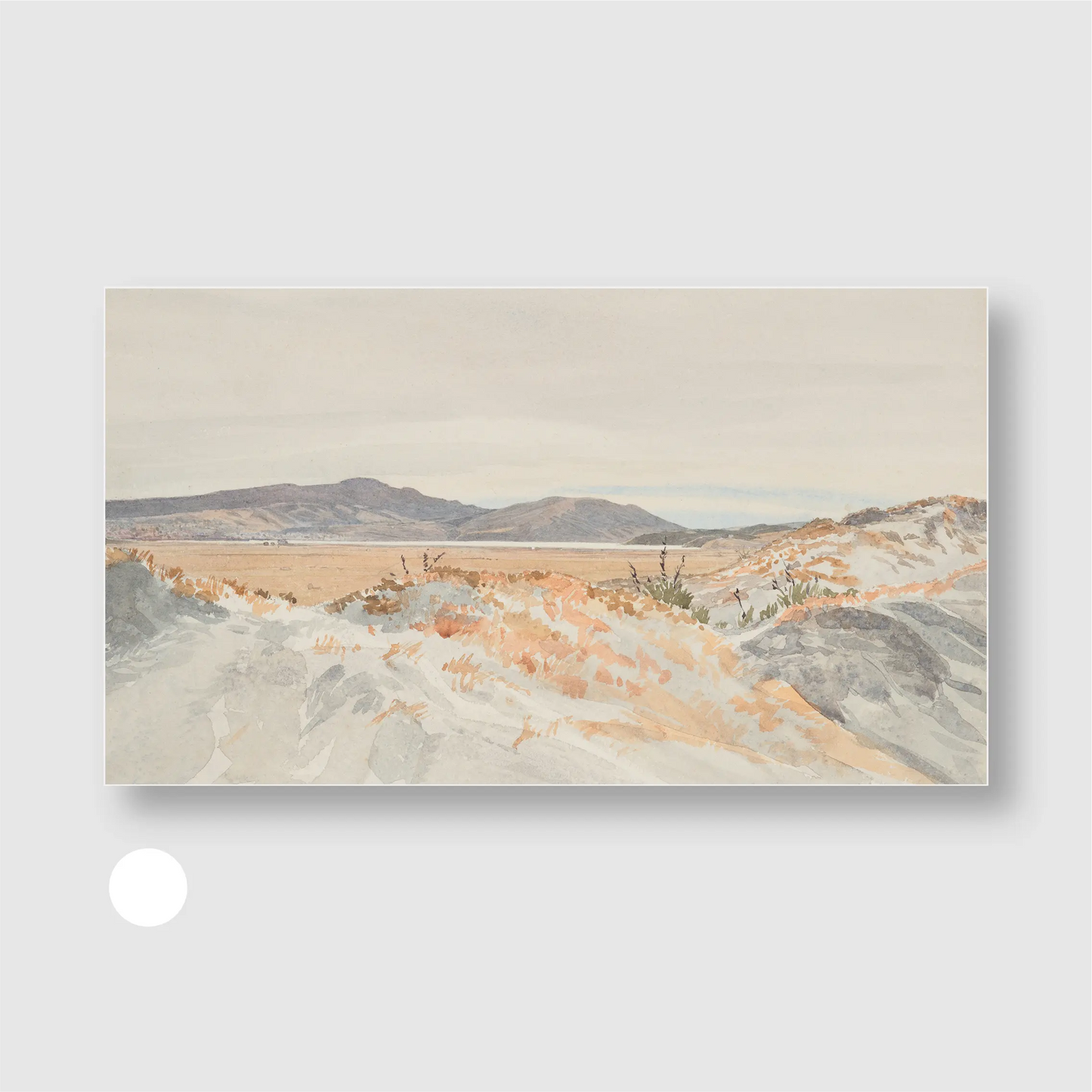 Coastal Dunes Landscape