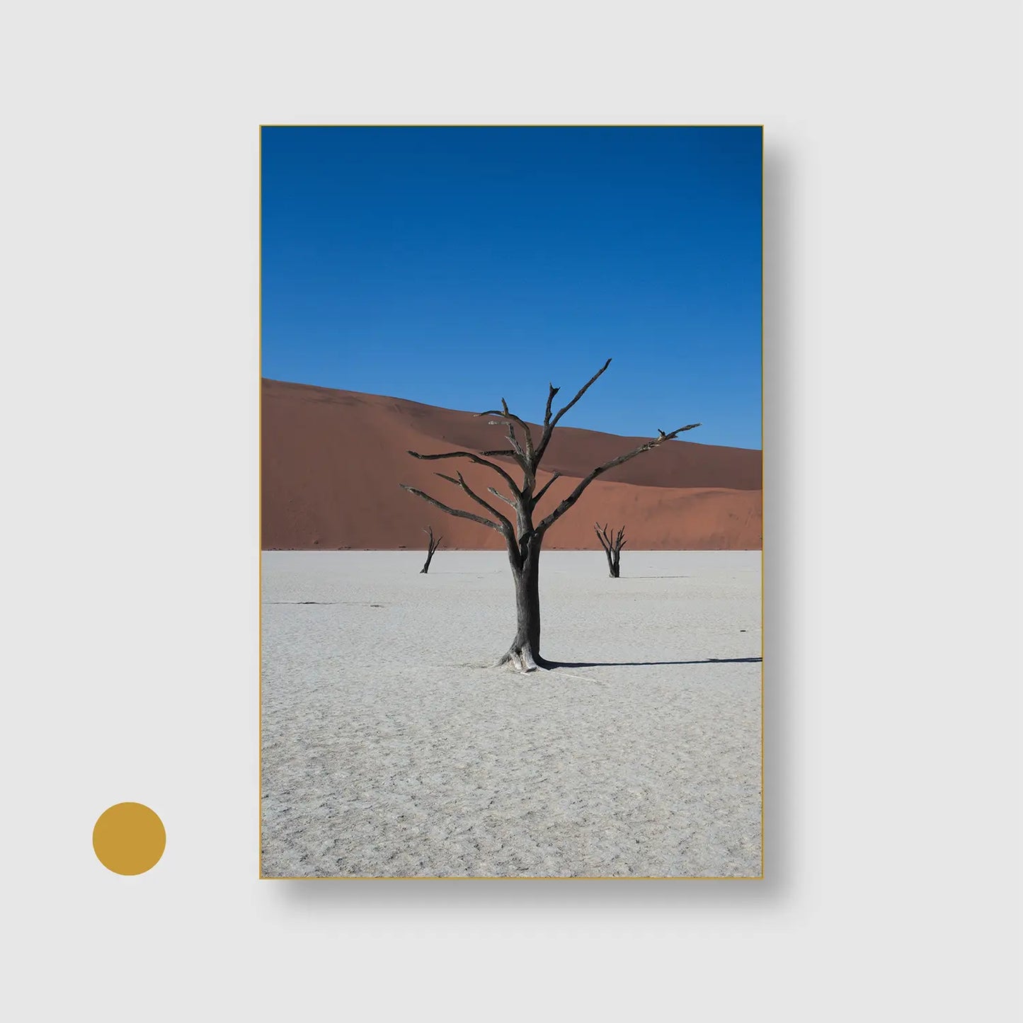 Bones of the Desert