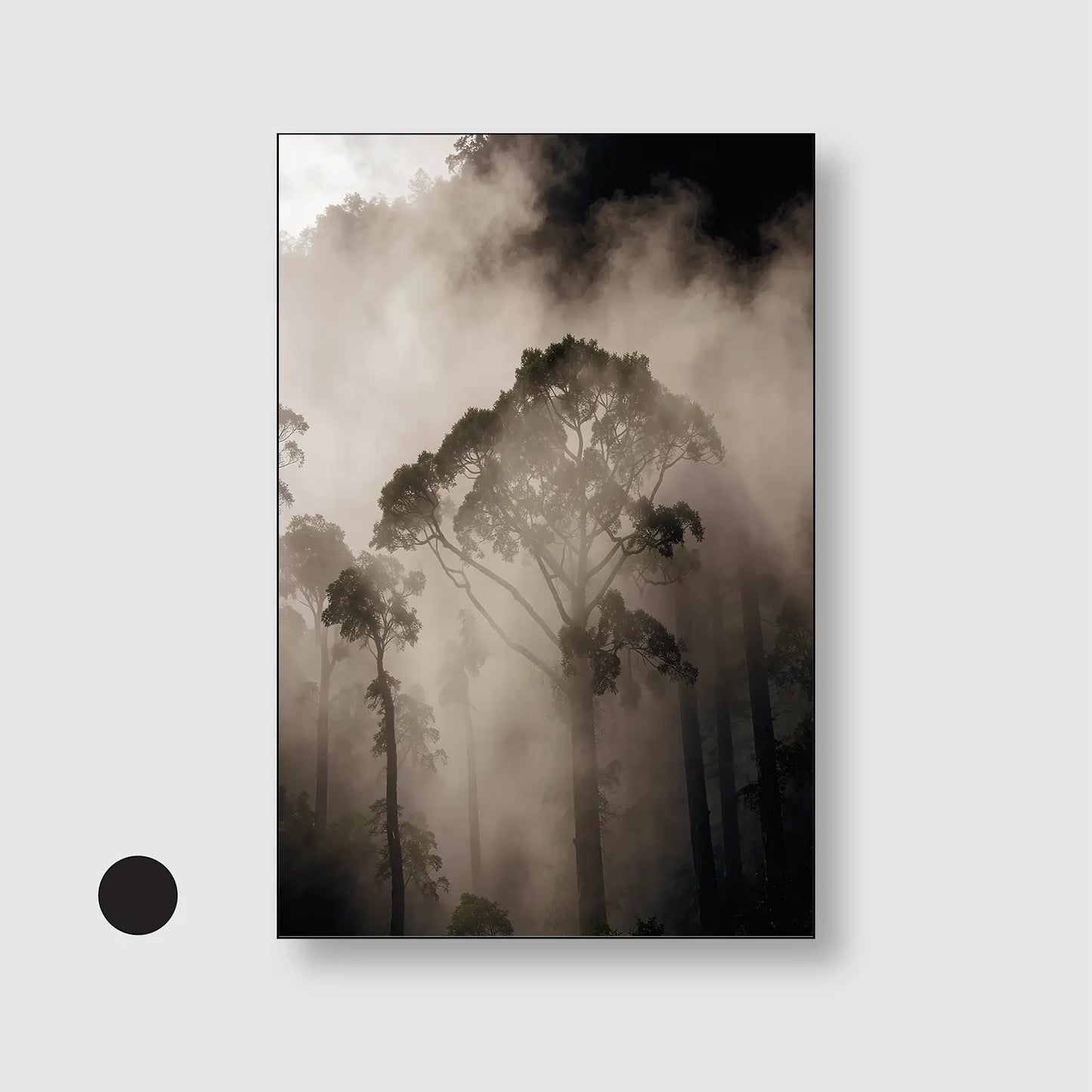 Mist Between Giants
