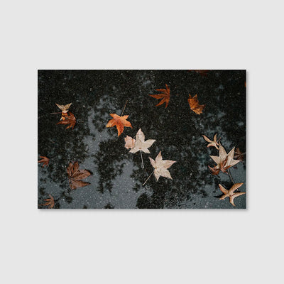 Autumn After Rain (Graphic Only) - Serene Nature Wall Art for Bedroom