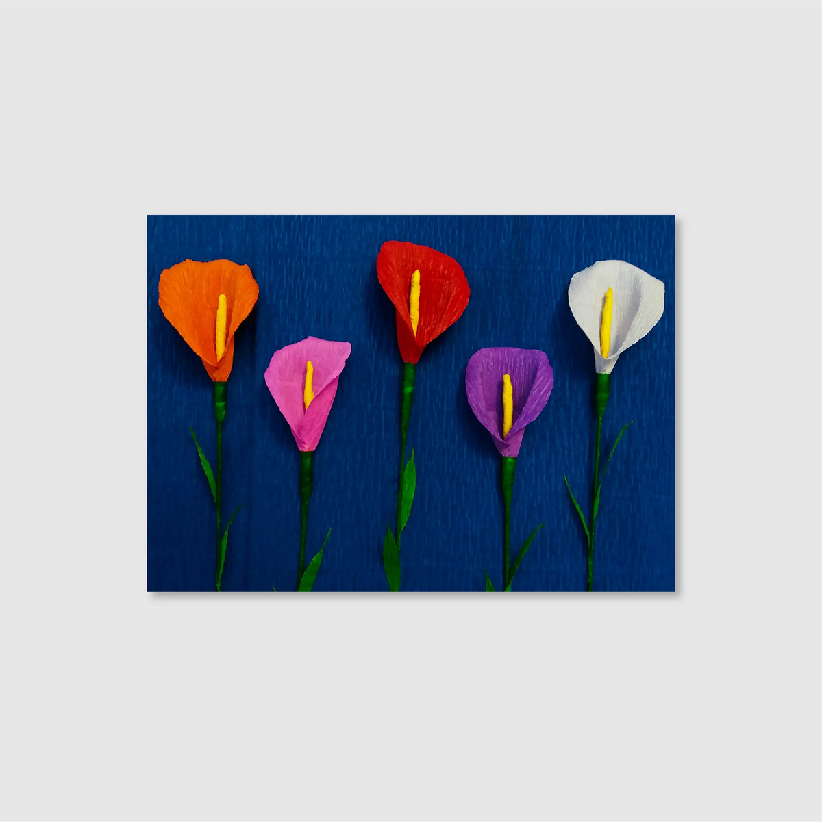 Paper Calla Blooms