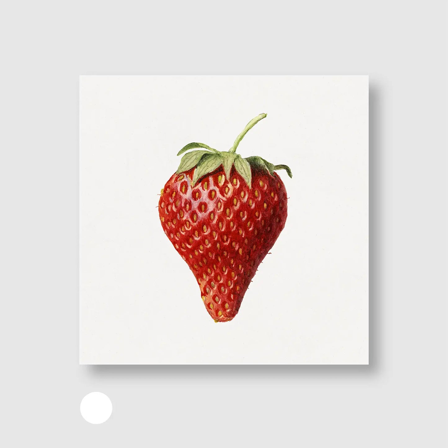 Strawberry Simplicity
