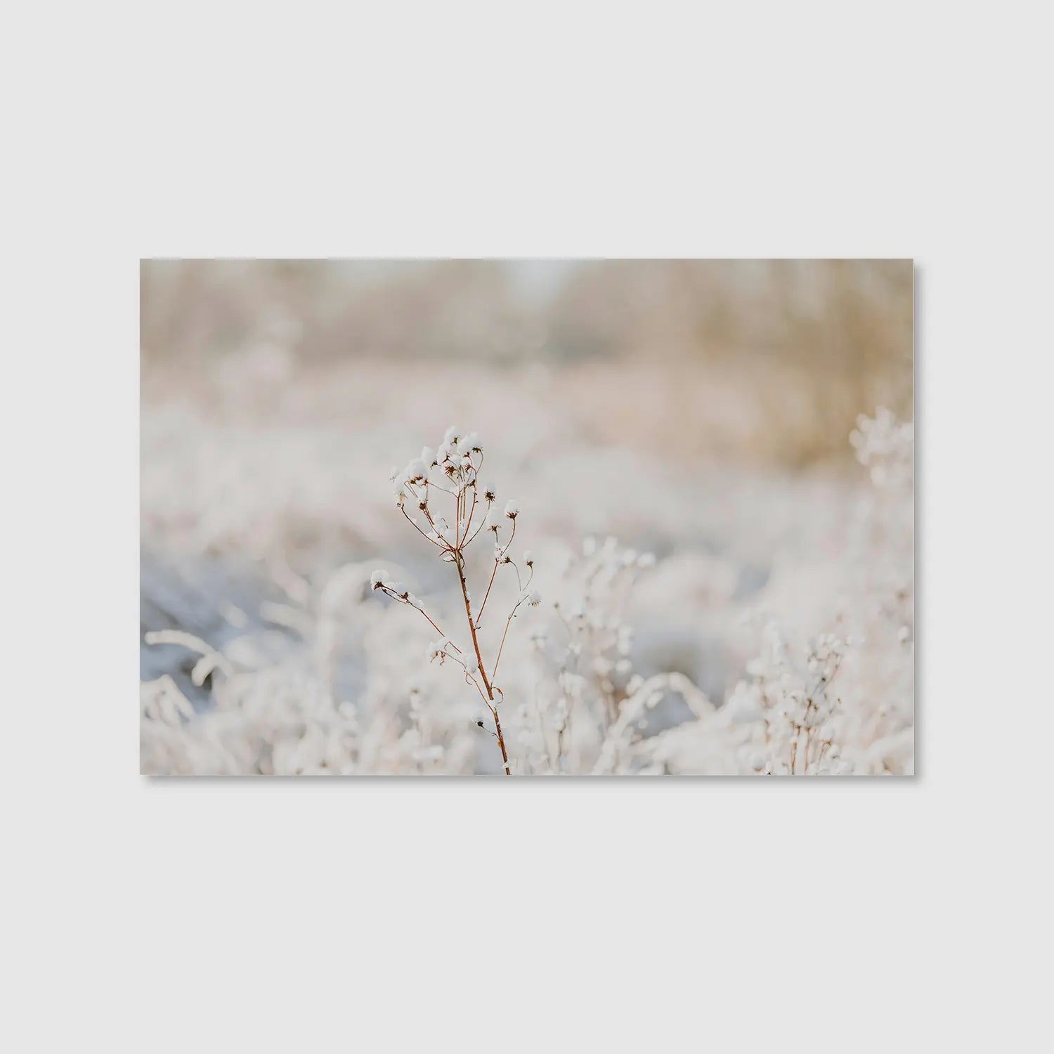 Winter’s Whisper (Graphic Only) - Serene Nature Wall Art for Bedroom