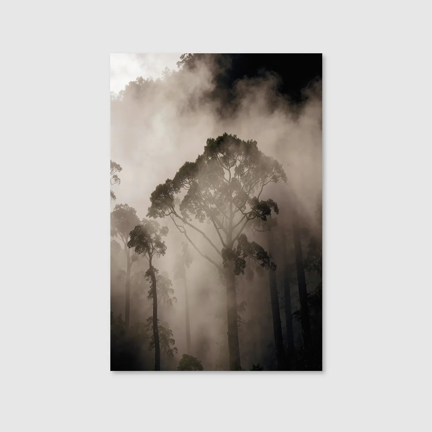 Mist Between Giants