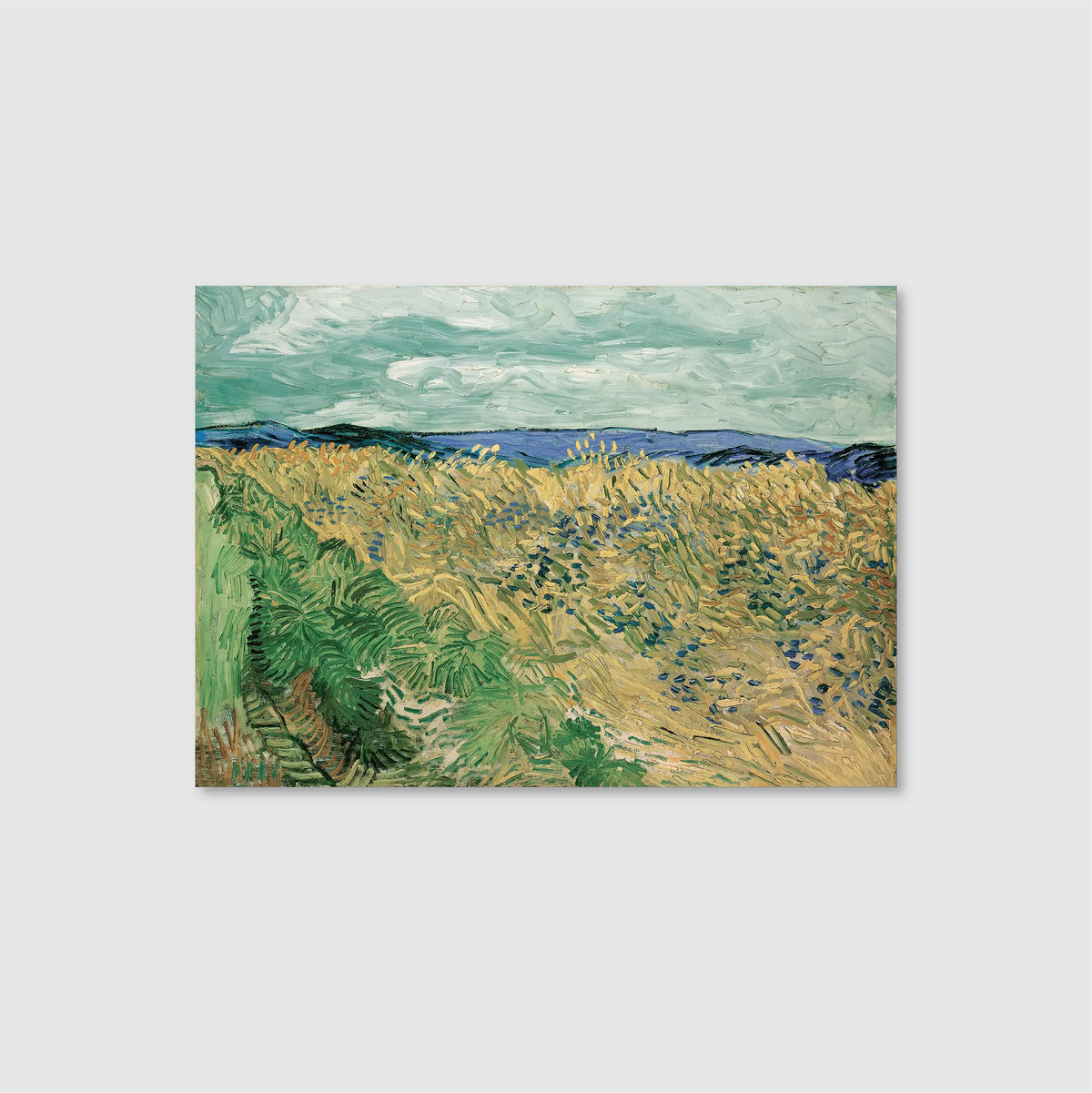 Wheatfield with Cornflowers