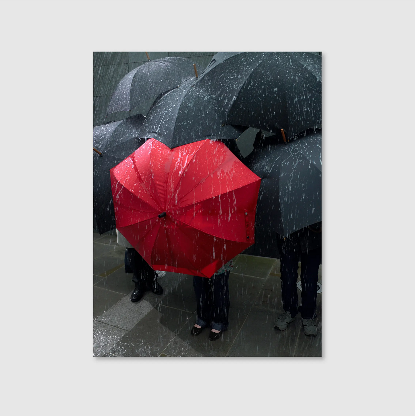 Rebel Rain Red