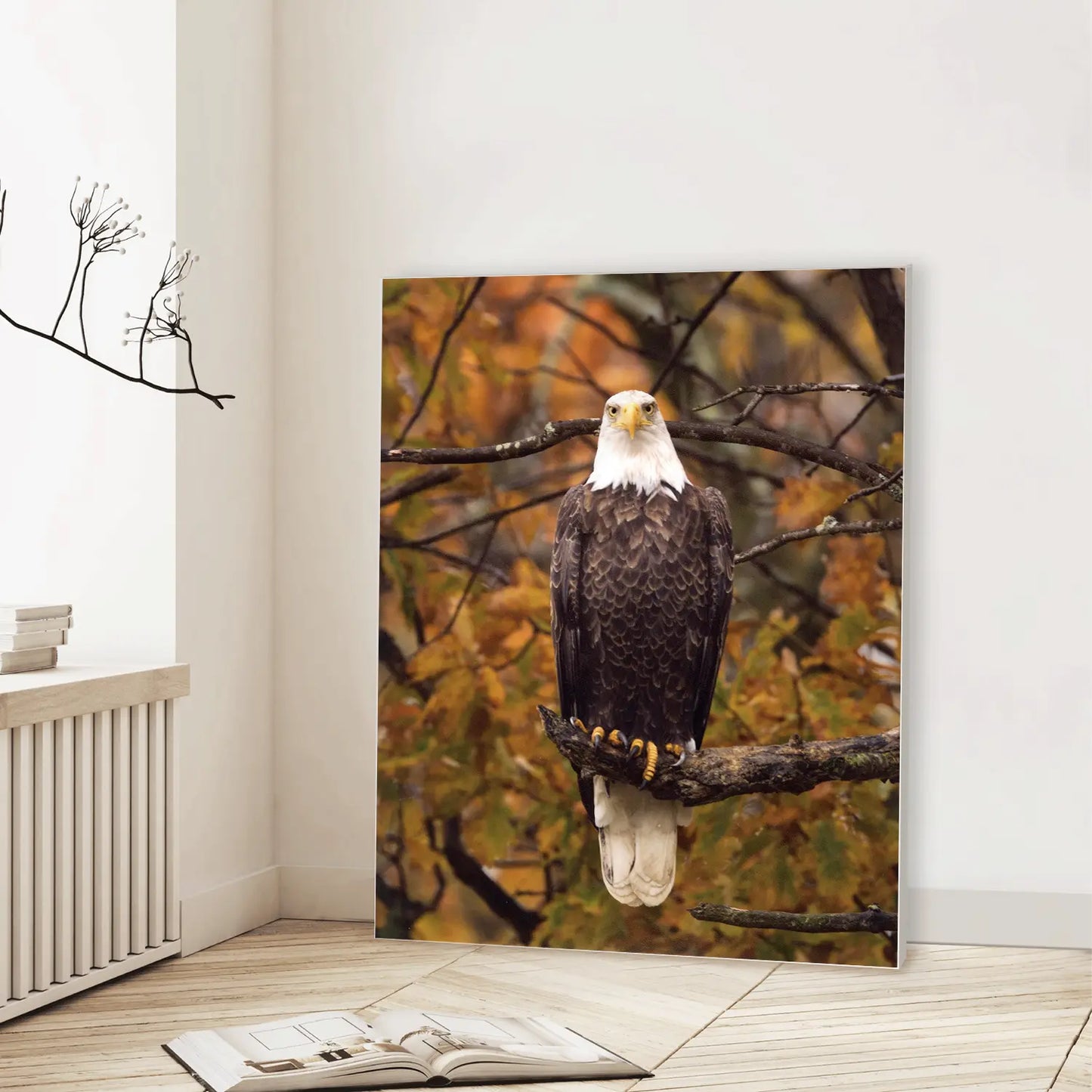 Eagle Autumn Watch