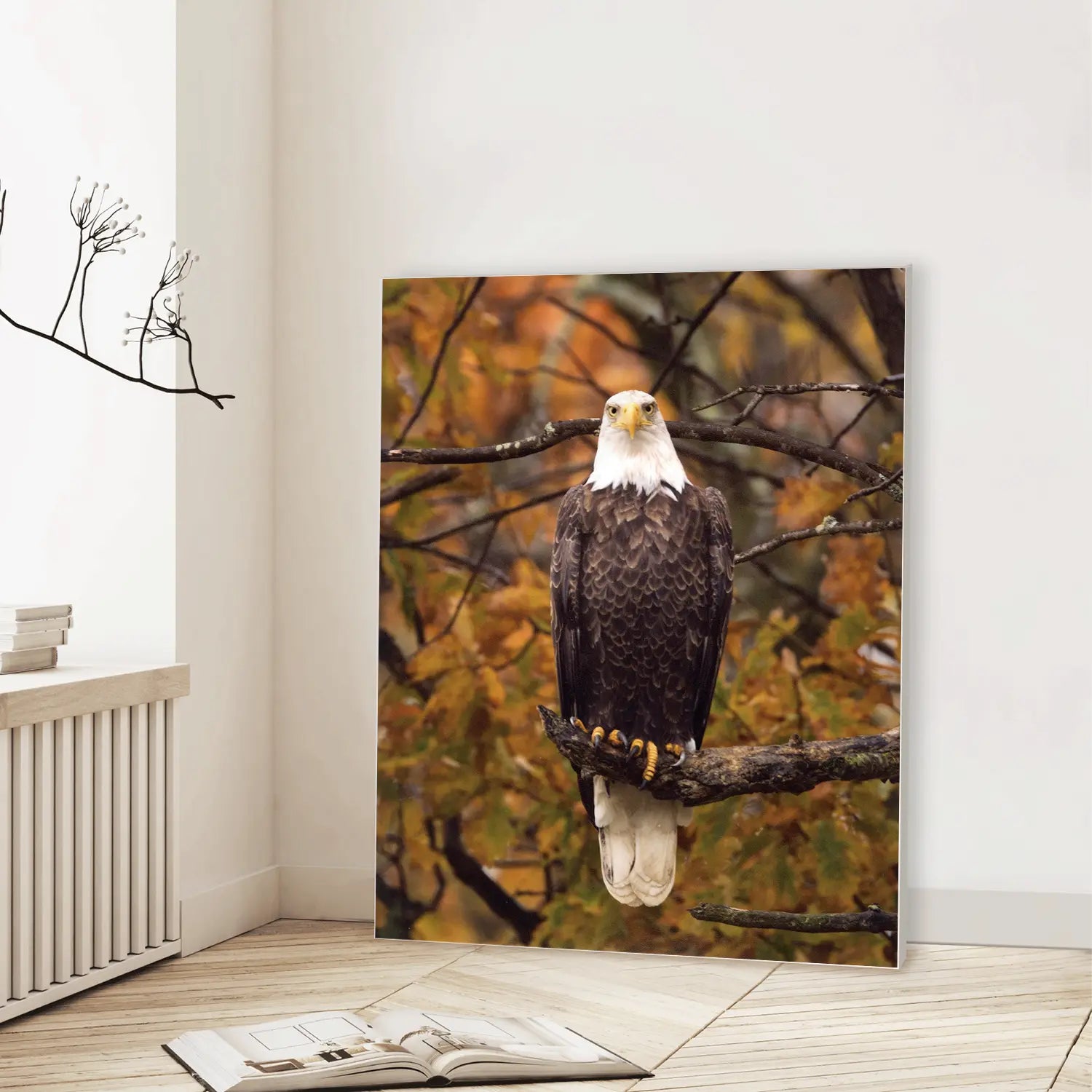Eagle Autumn Watch