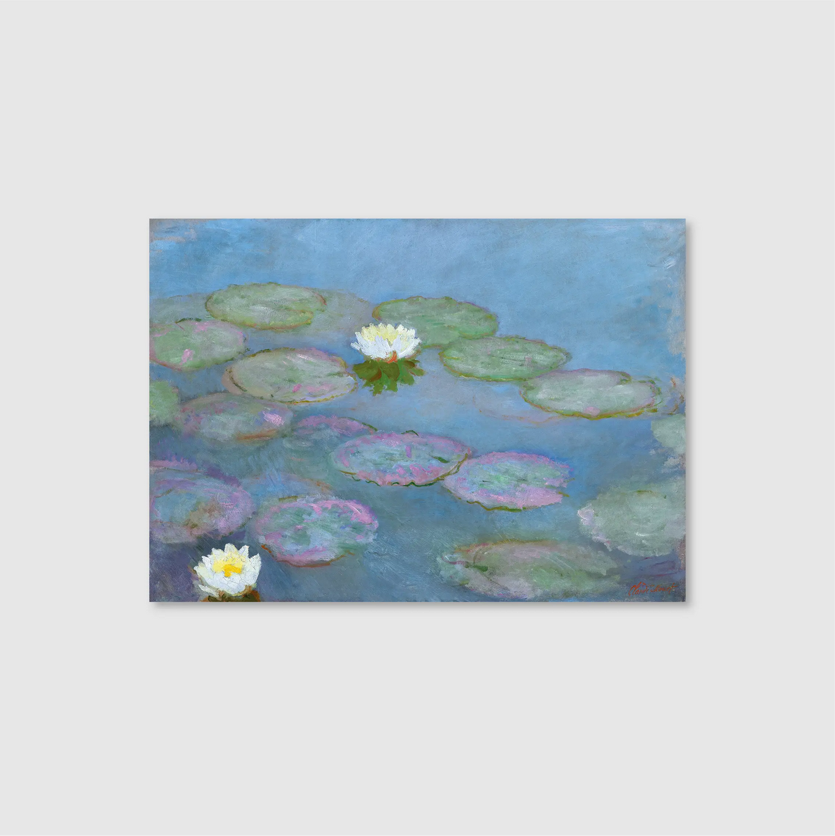 Water Lilies