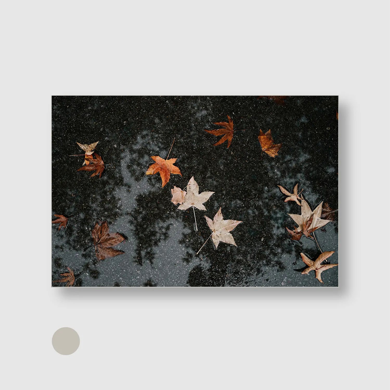 Autumn After Rain (Graphic Only) with Silver Frame - Serene Nature Wall Art