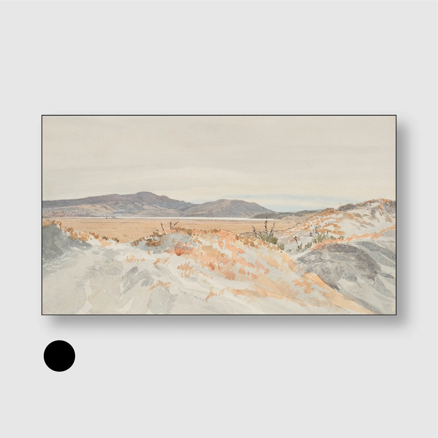 Coastal Dunes Landscape