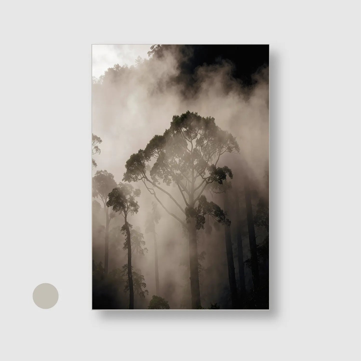 Mist Between Giants