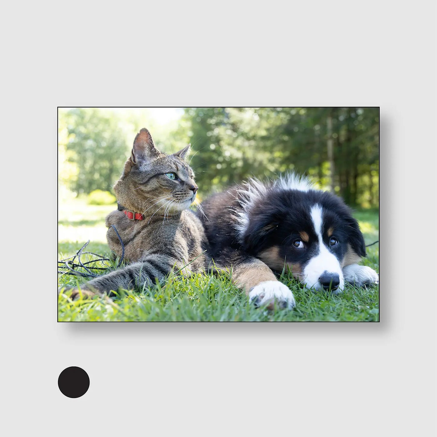 Whiskers and Paws (Graphic Only) with Black Frame - Cozy Animals Wall Art