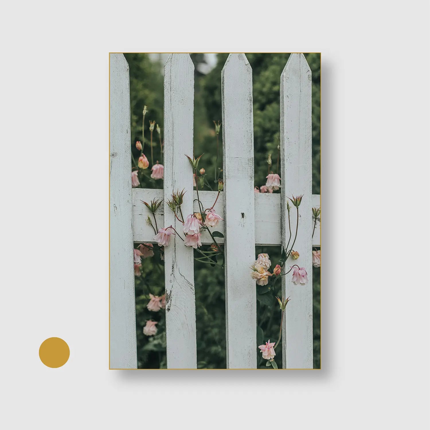 Blush Between the Boards (Graphic Only) with Gold Frame - Serene Nature Wall Art