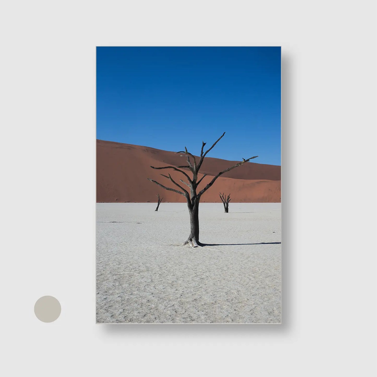 Bones of the Desert
