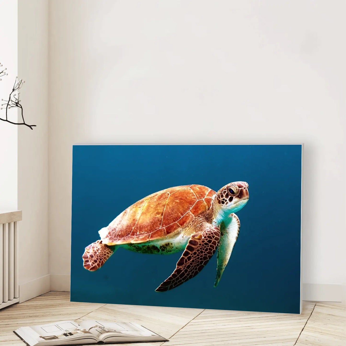 Ocean Glide Freedom