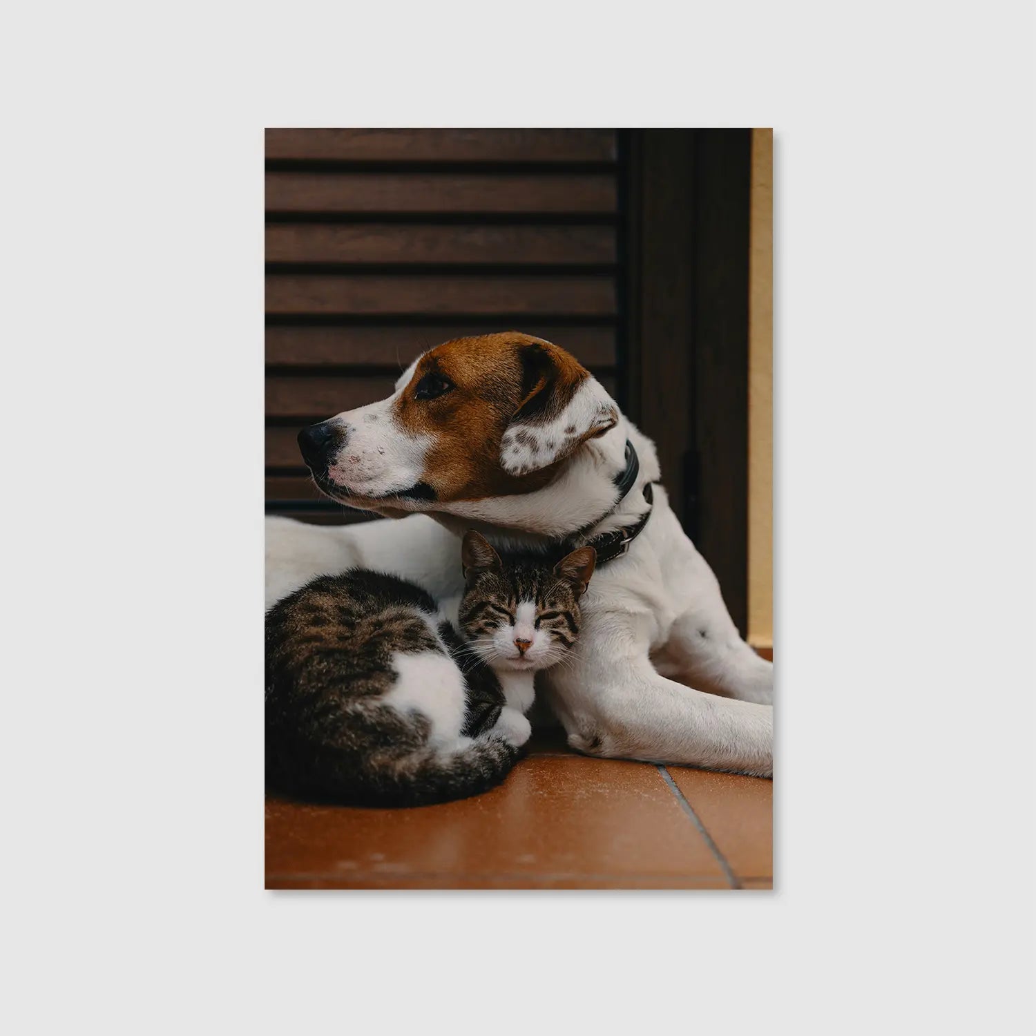 Companions at Rest (Graphic Only) - Cozy Animals Wall Art for Living room