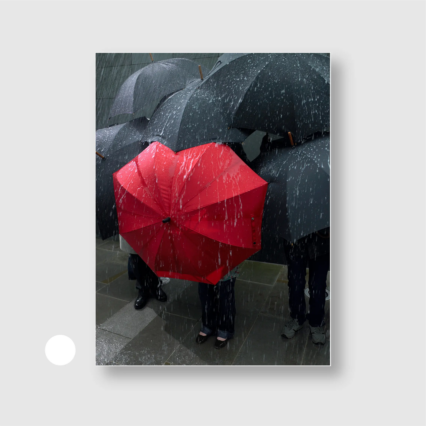 Rebel Rain Red