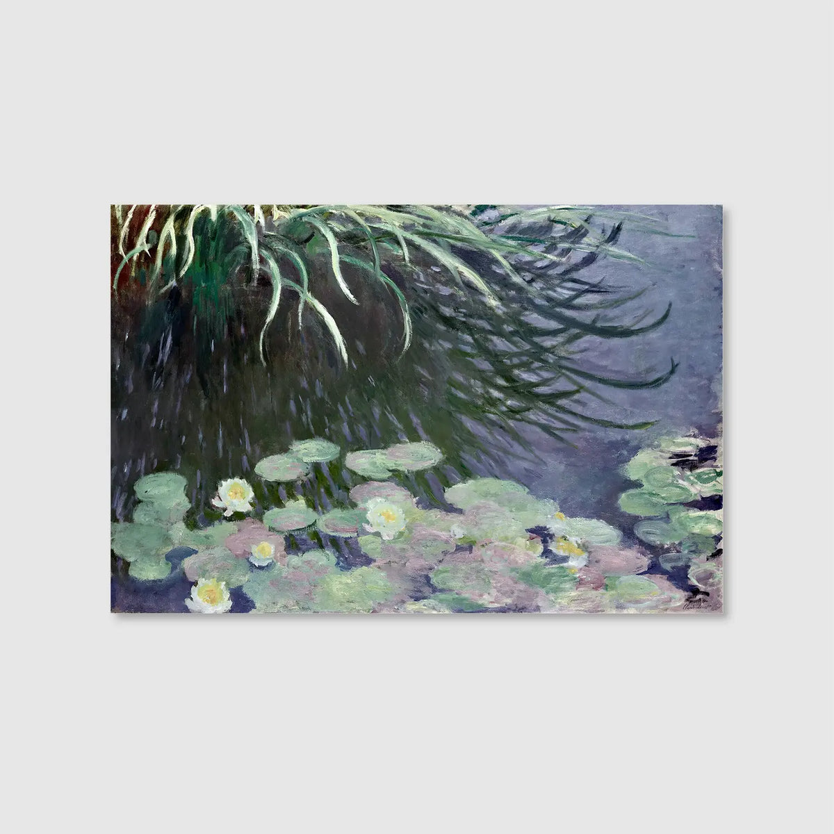 Water Lilies