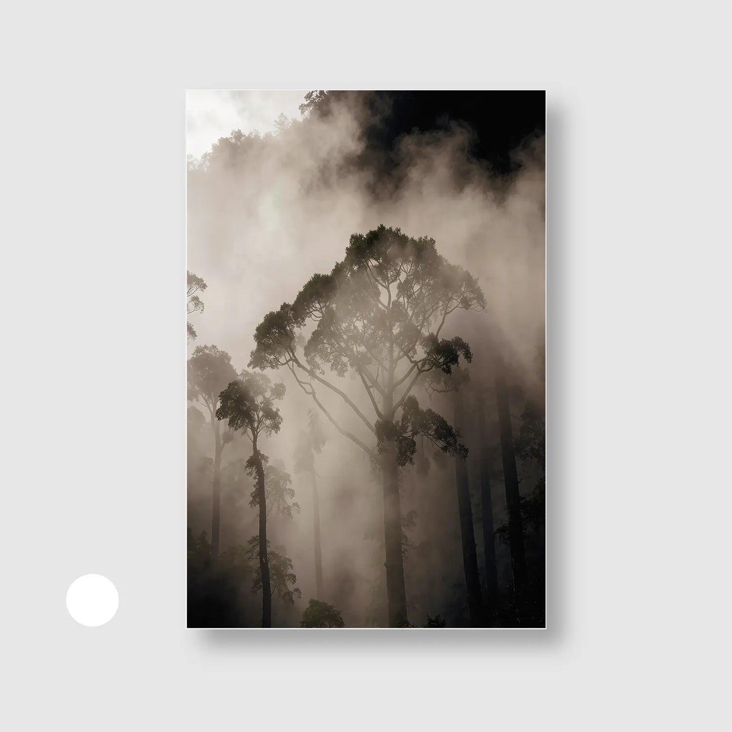 Mist Between Giants