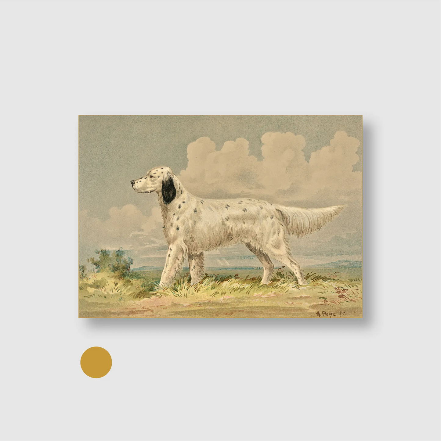 Standing English Setter