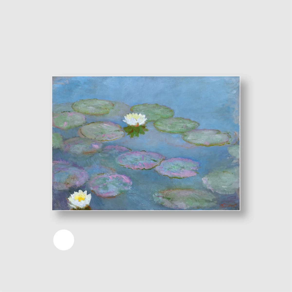 Water Lilies