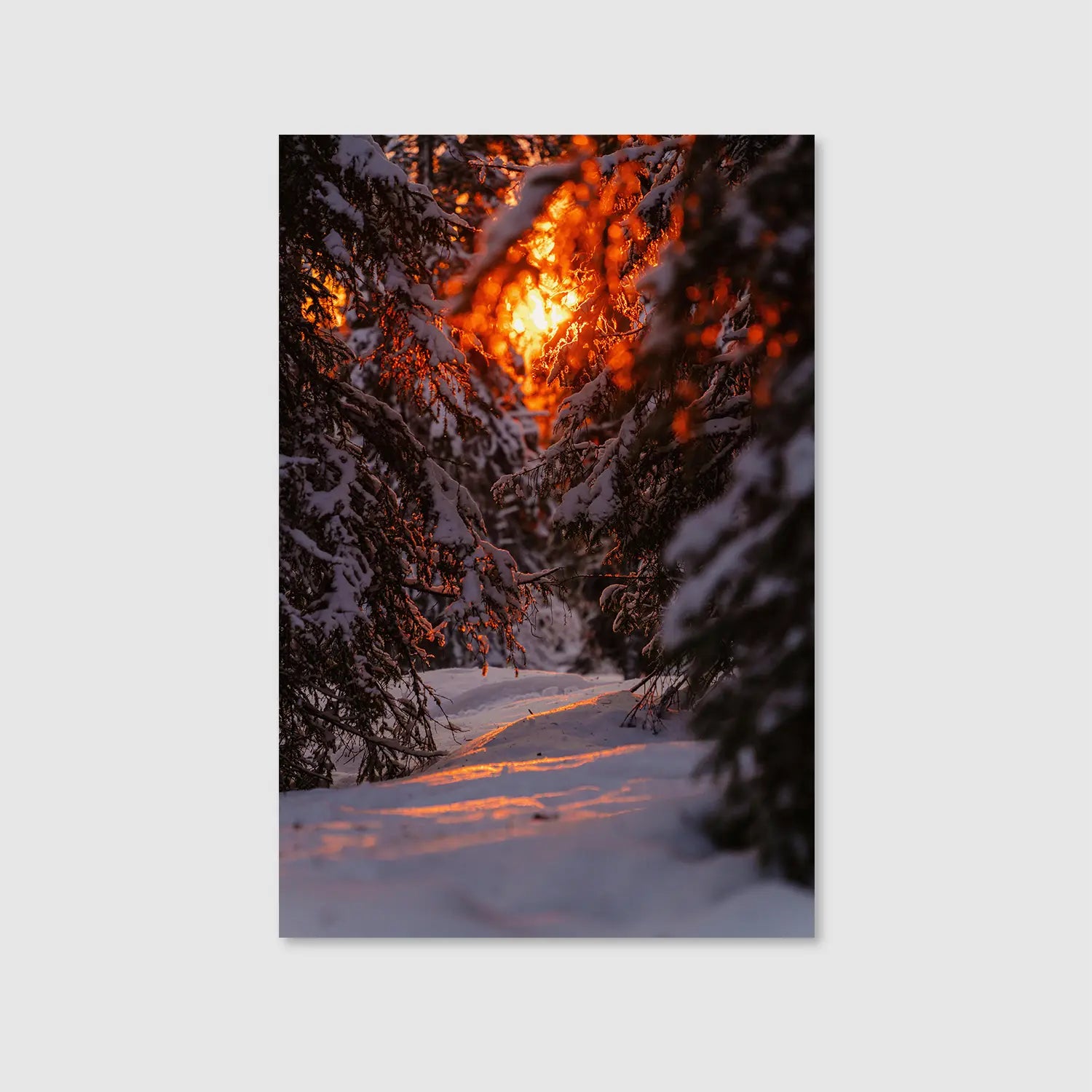 Winter Ignition (Graphic Only) - Cozy Nature Wall Art for Living room