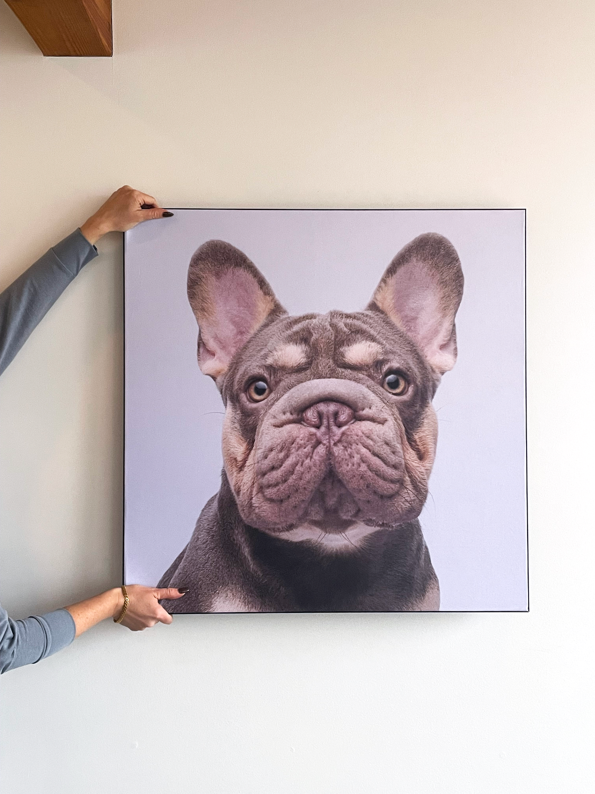 Wallpoppe frame with a custom pet photo print